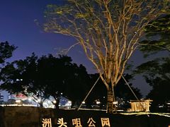 -洲头咀公园