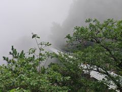 -塔云山