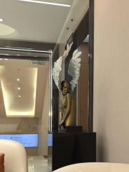 -杭州米兰柏羽医疗美容医院