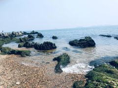 -棒棰岛宾馆景区