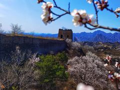 -蟠龙山长城景区