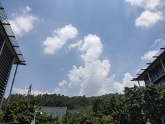 -中国移动南方基地