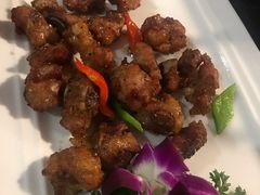 -云中小雅