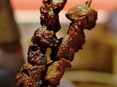 烤红柳枝羊肉串-京炭铜锅涮肉·羊蝎子·羊肉炉(保利·时光里店)