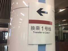 -大望路(地铁站)
