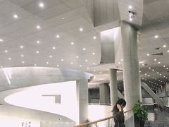 -柳州白莲洞洞穴科学博物馆