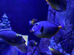 -成都浩海立方海洋公园