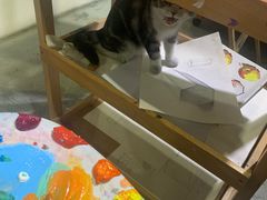 -一品格美术·中考高中成人美术培训