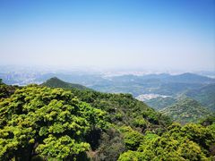 -梧桐山风景名胜区