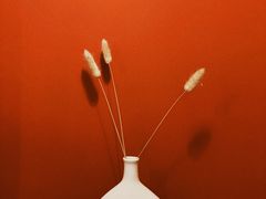 -LuluCake·路鹿蛋糕