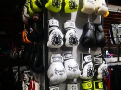 -TFC 纯泰拳馆MuayThai