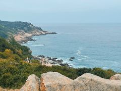 -广东惠东海龟国家级自然保护区