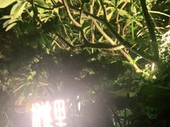 -胡桃里音乐酒馆(星湖北一里店)
