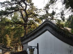 -北京鹫峰国家森林公园