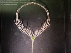 -深圳珠宝博物馆