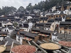 -婺源风景区