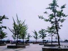 -日照世帆赛基地