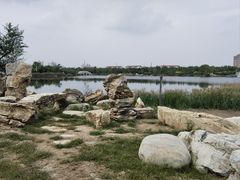 -大港湿地公园