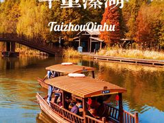 -溱湖国家湿地公园