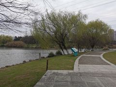 -九里河湿地公园