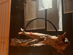 -文三酒肆自助放题(新街口友谊广场店)