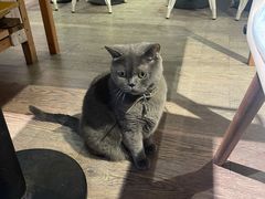 -小时光咖啡馆(开森度假森林店)