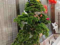 -红菜坊·烤鸭·川鲁宴(石园店)