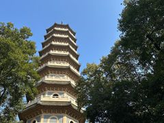 -灵谷景区