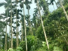 -优游吧斯邹族文化部落