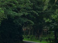 -深圳国际园林花卉博览园