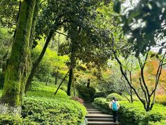 -杭州半山国家森林公园