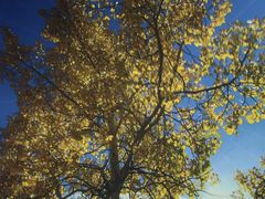 -苏州青少年科技馆