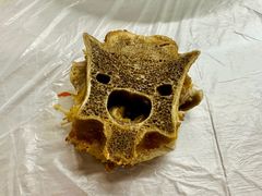 -御味老北京羊蝎子火锅&特色龙虾(菜场路店)