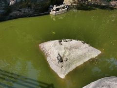 -青芝山风景名胜区