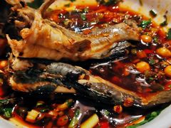 -蜀滋香鲜鱼美蛙火锅(339店)