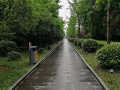 -唐城墙遗址公园