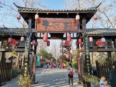 -合肥滨湖国家森林公园