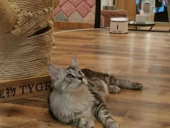 -Skay•射箭馆•弓箭娱乐(体育西店)