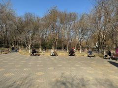 -丰台科技园生态主题公园