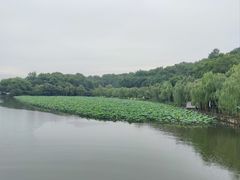 -西湖游船