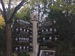 -大槐树寻根祭祖园