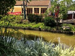 -上海长兴岛郊野公园