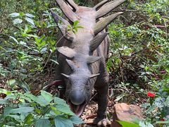 -海南热带野生动植物园