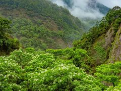 -雁荡山三折瀑景区