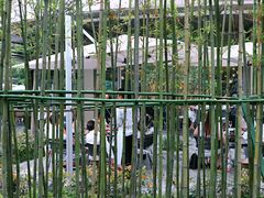 -杭州君悦酒店·青莳