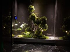 -唐宫足道·SPA·影院会馆(木渎店)