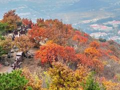-北京十三陵国家森林公园蟒山景区