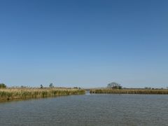 -盐城丹顶鹤湿地生态旅游区