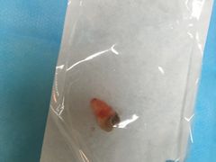 -天津市口腔医院(和平本部)