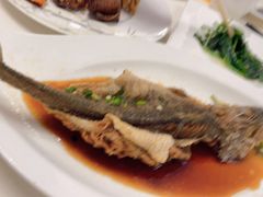-锦江饭店锦北楼-锦江厅
